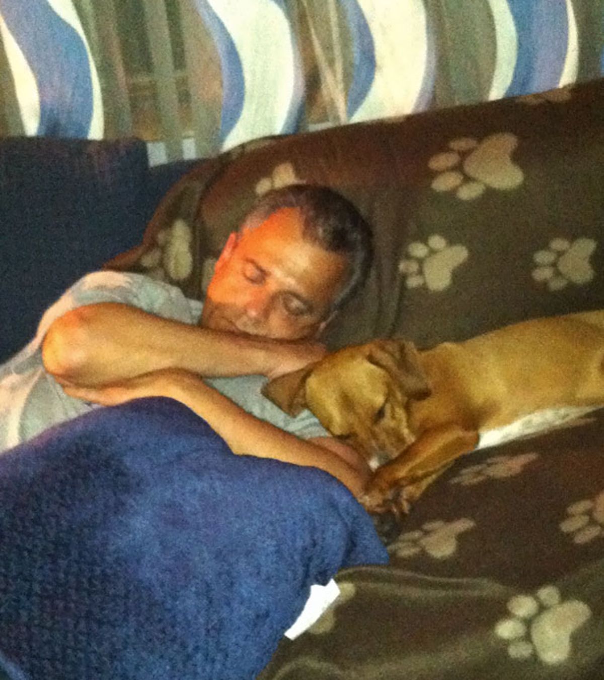 brown and white dog sleeping on a brown sofa cuddling with a sleeping man