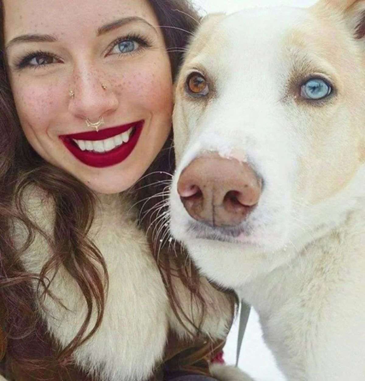 brown and white dog with a brown right eye and a blue left eye with a woman with a brown right eye and a blue left eye