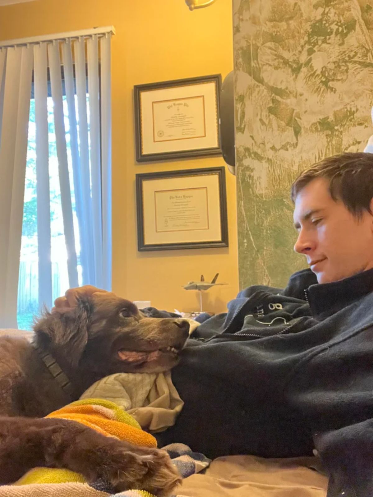 brown dog laying on a man on a bed and looking at him lovingly