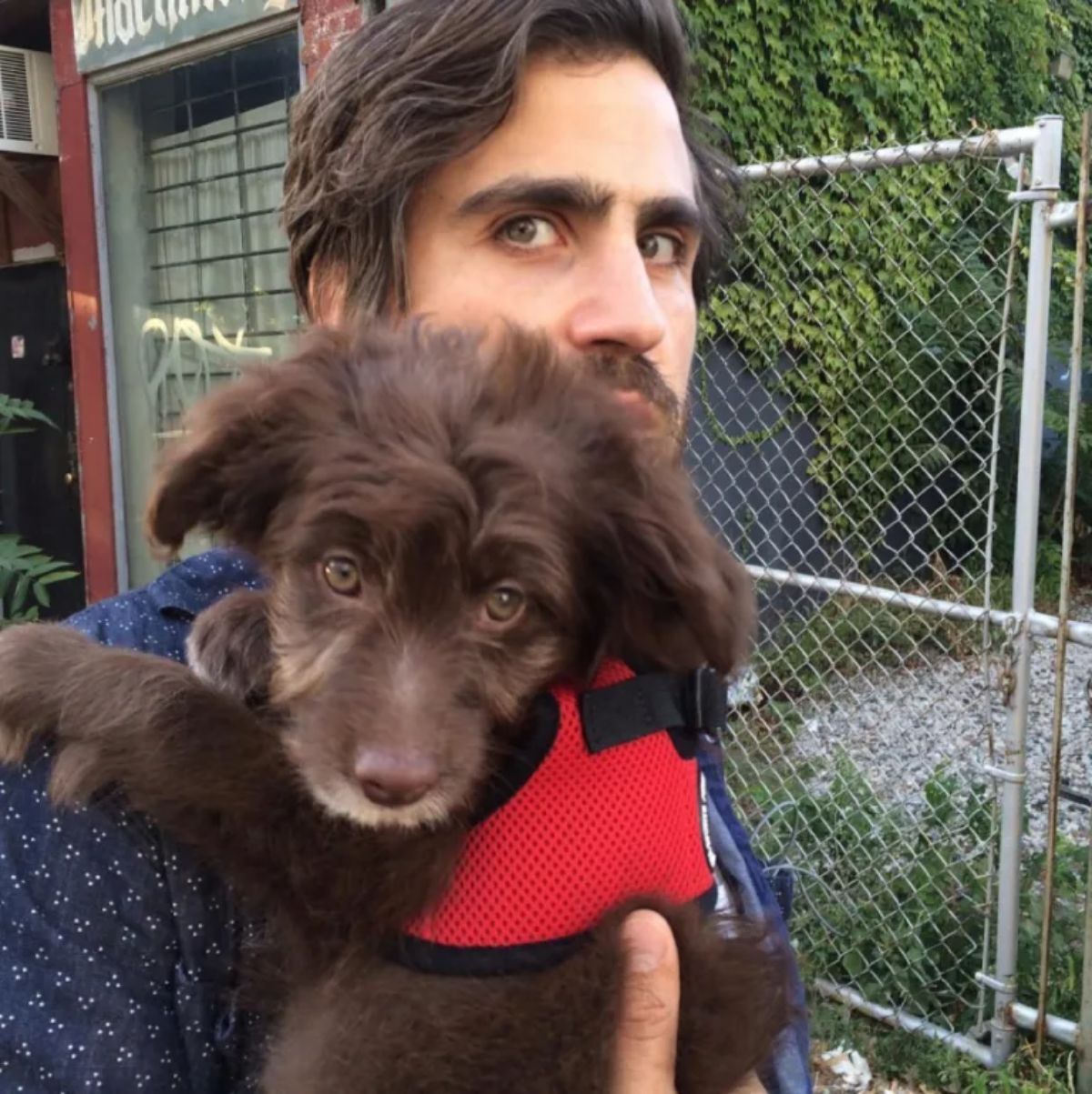brown fluffy puppy in a red harness held over the shoulder by a man
