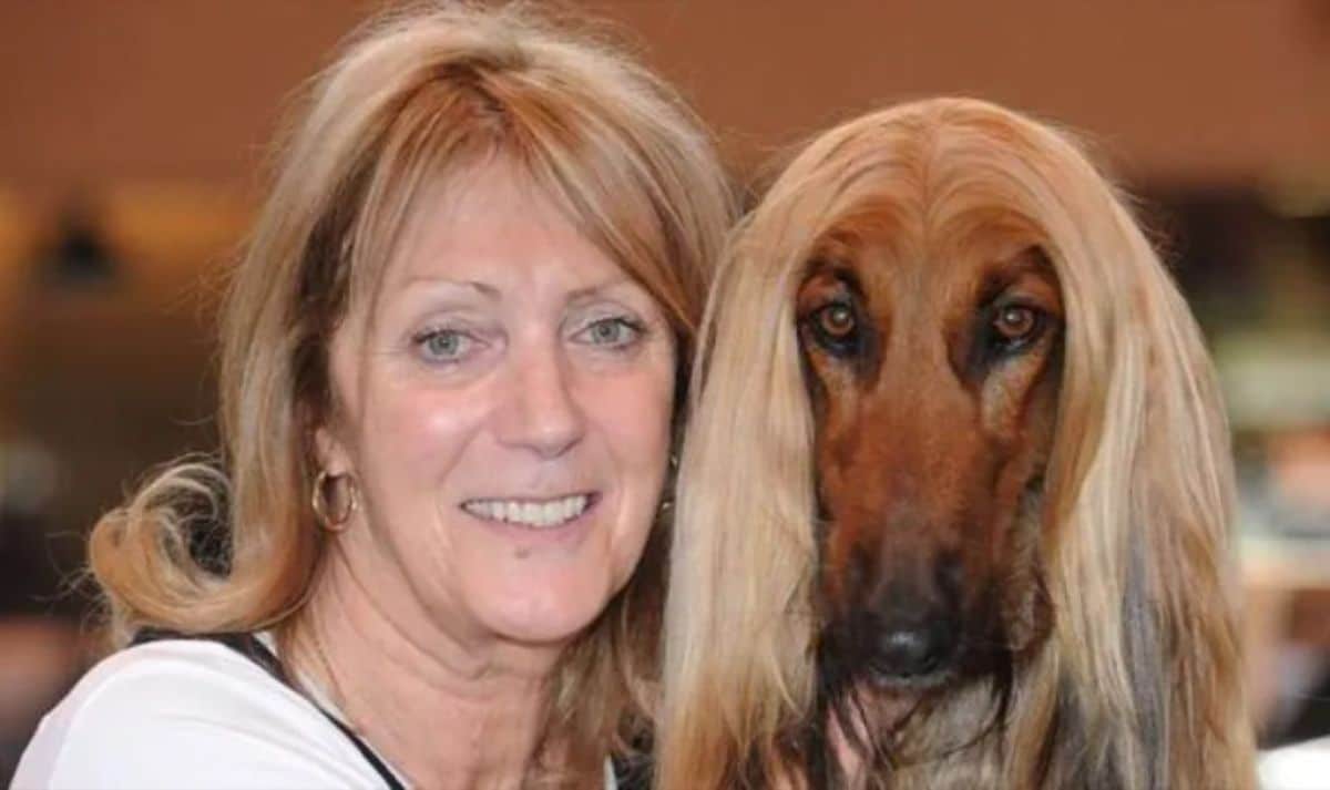 brown long-faced dog and woman with blonde hair