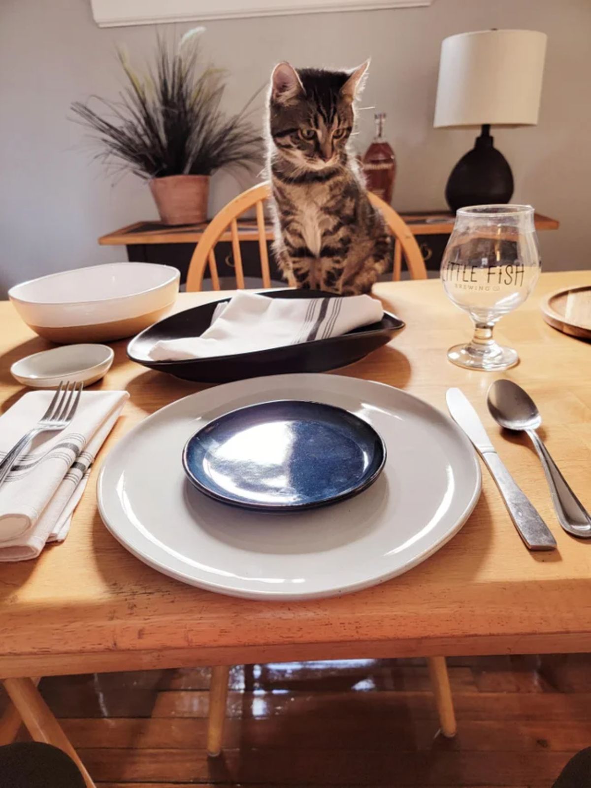 brown tabby kitten sitting on a table set for a meal
