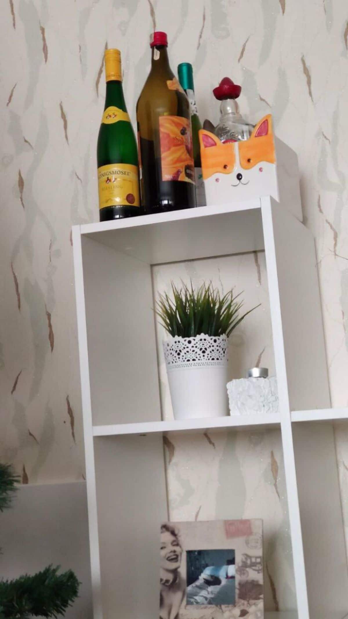 cat ears showing behind a shiba inu box and some bottles at the top of a white shelf