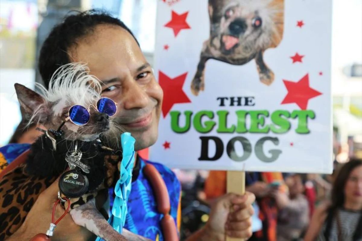 chinese crested dog wearing blue sunglasses being hugged by a man holding a sign saying the ugliest dog