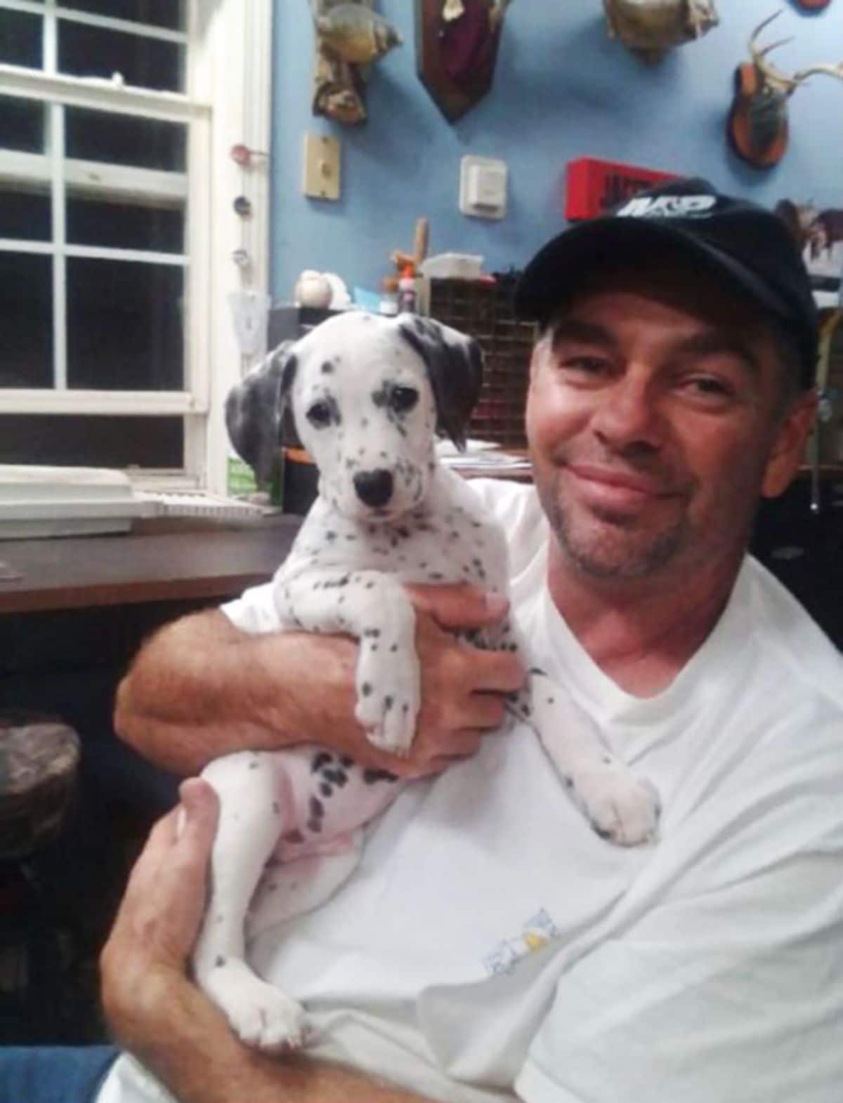 dalmation puppy being held by a man