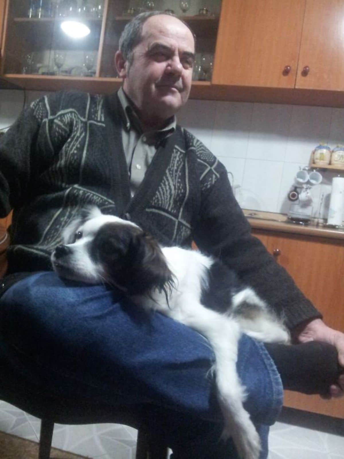 fluffy black and white puppy laying on a man's lap