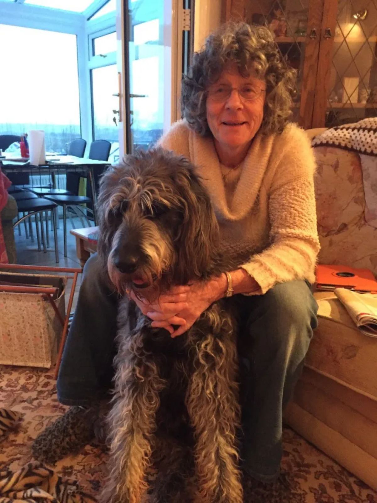 fluffy grey dog with an old person with curly grey hair