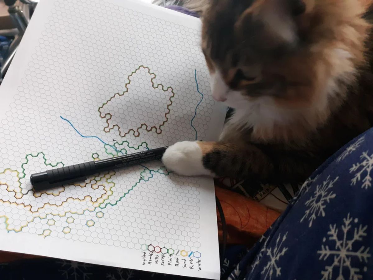 fluffy orange white and black cat sitting with a cartography map
