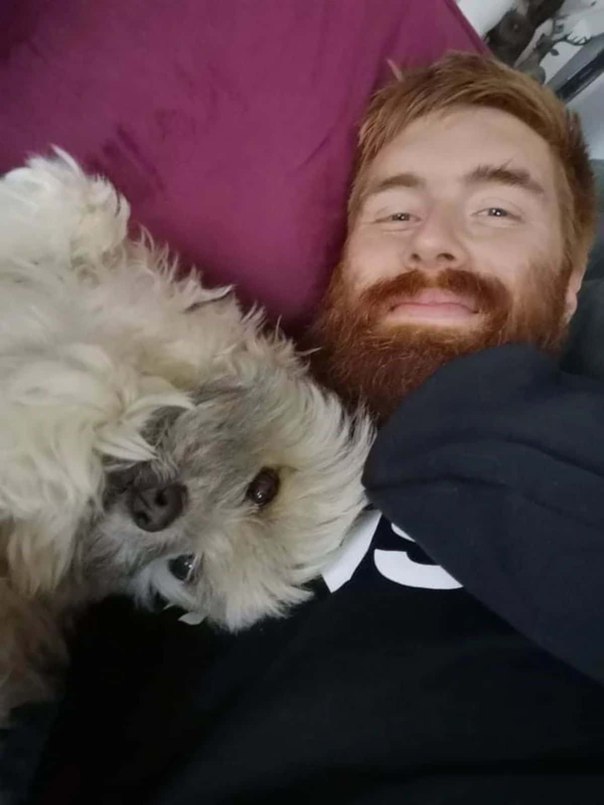 fluffy white and grey dog laying on a man laying down