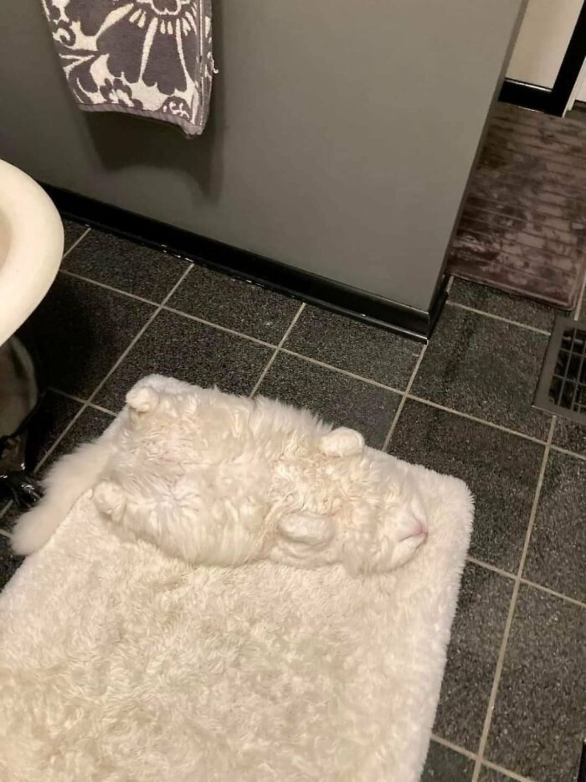 fluffy white cat laying belly up on a fluffy white bathroom mat