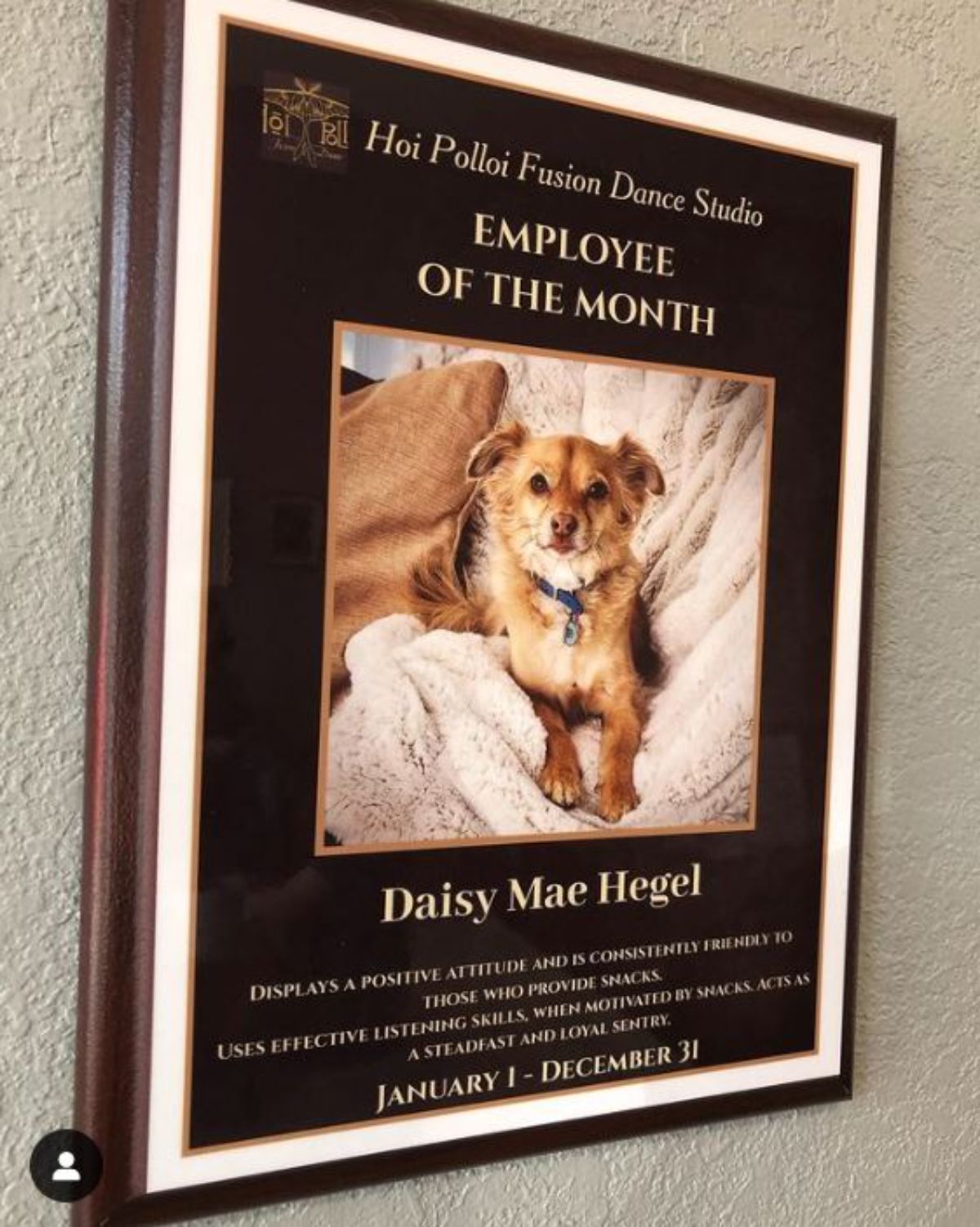 framed photo of brown and white dog in an employee of the month sign
