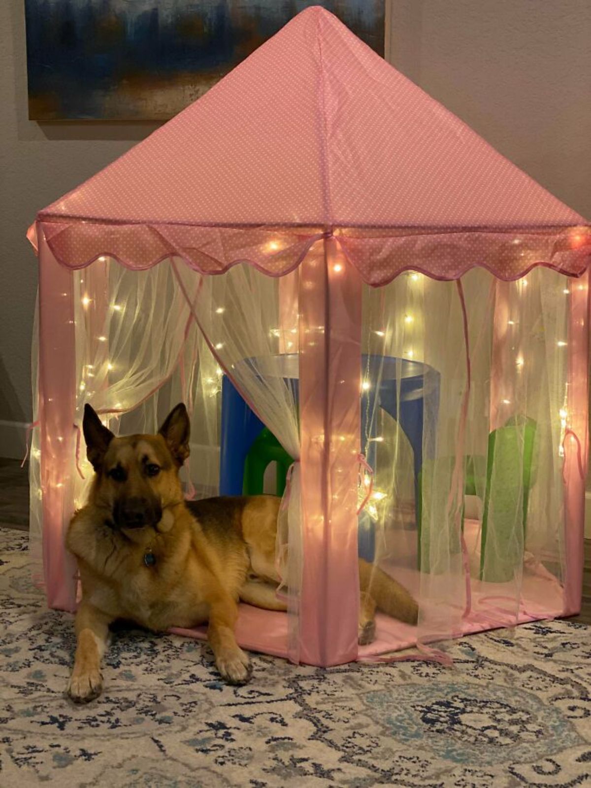 german shepherd laying in a pink princess tent with fairy lights