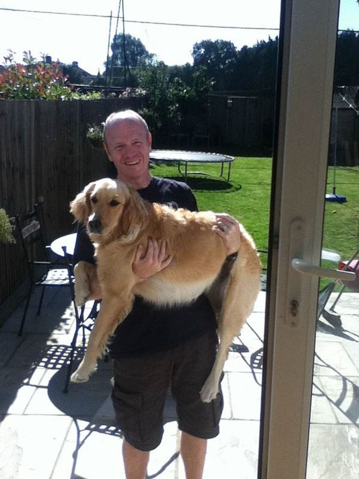 golden retriever being held and carried by a man in a garden