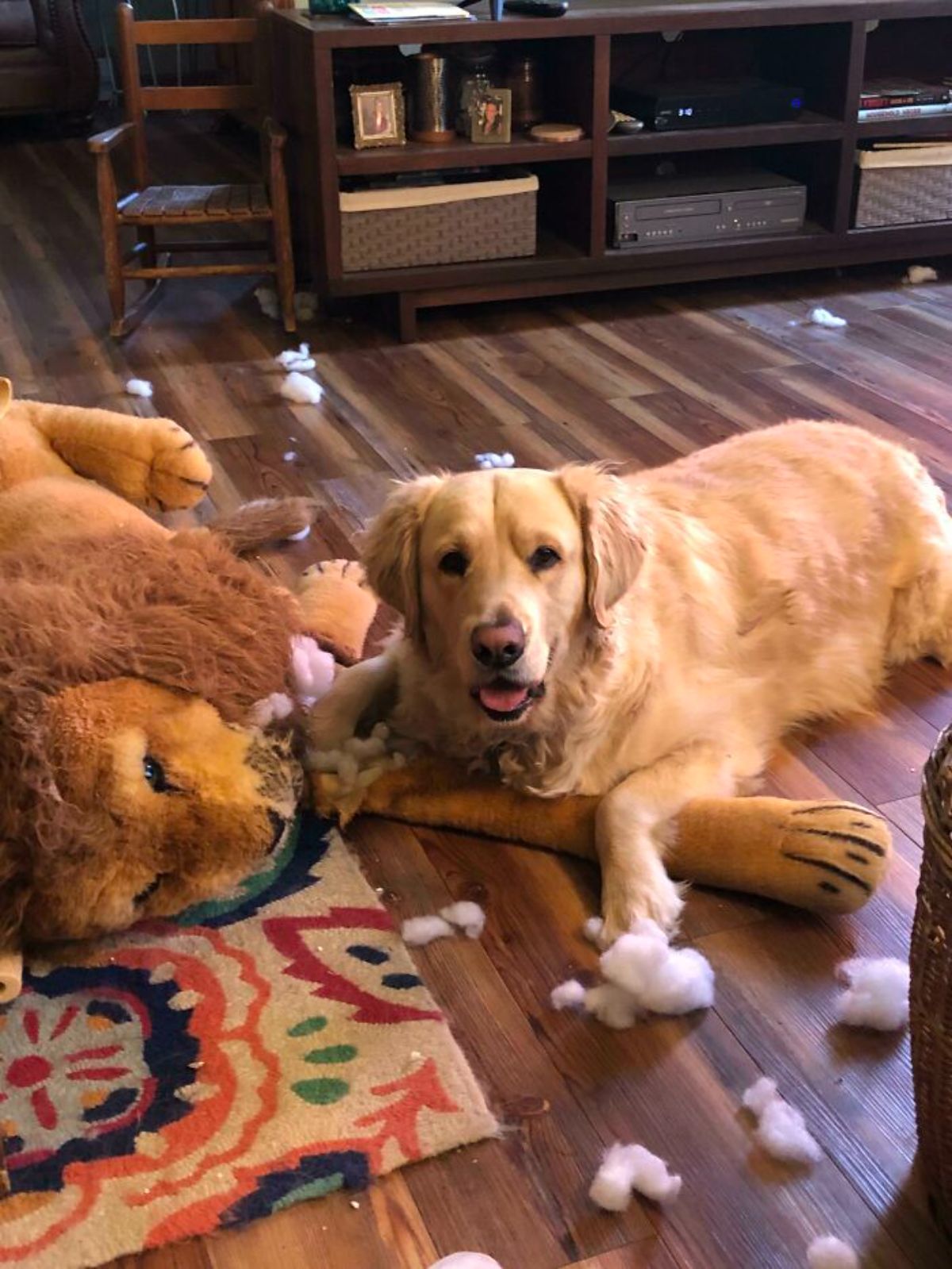 golden retriever laying on the floor next to a large brown lion stuffed toy that's been ripped up with stuffing on the floor
