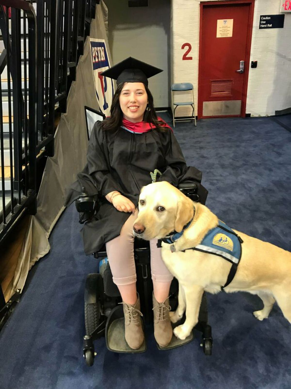 graduate woman in a wheelchair with a yellow labrador retriever service dog