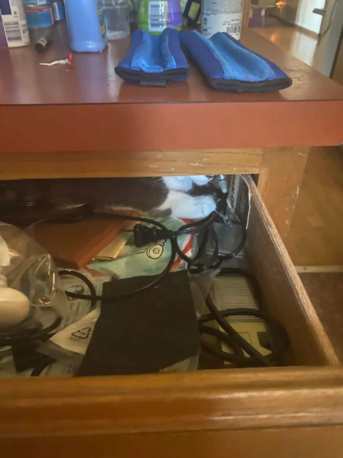 grey and white cat hiding in a brown drawer filled with random things