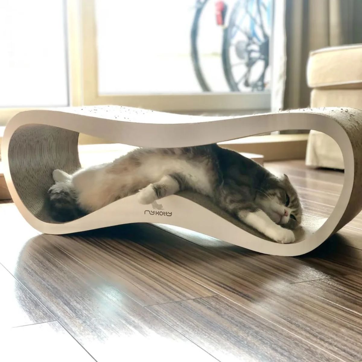 grey and white cat laying inside an s-shaped scratch post