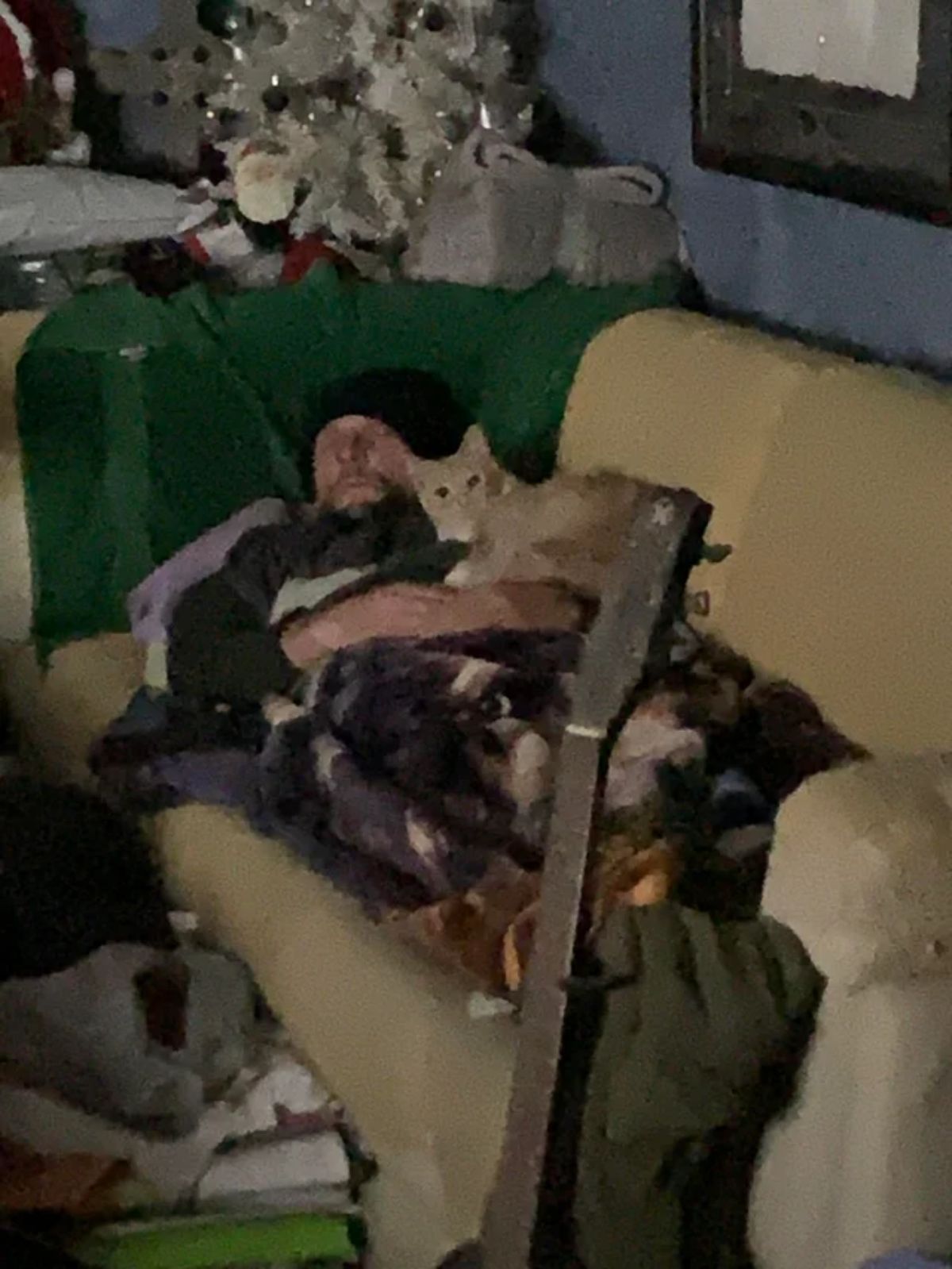 grey and white cat laying on a man sleeping on a brown sofa