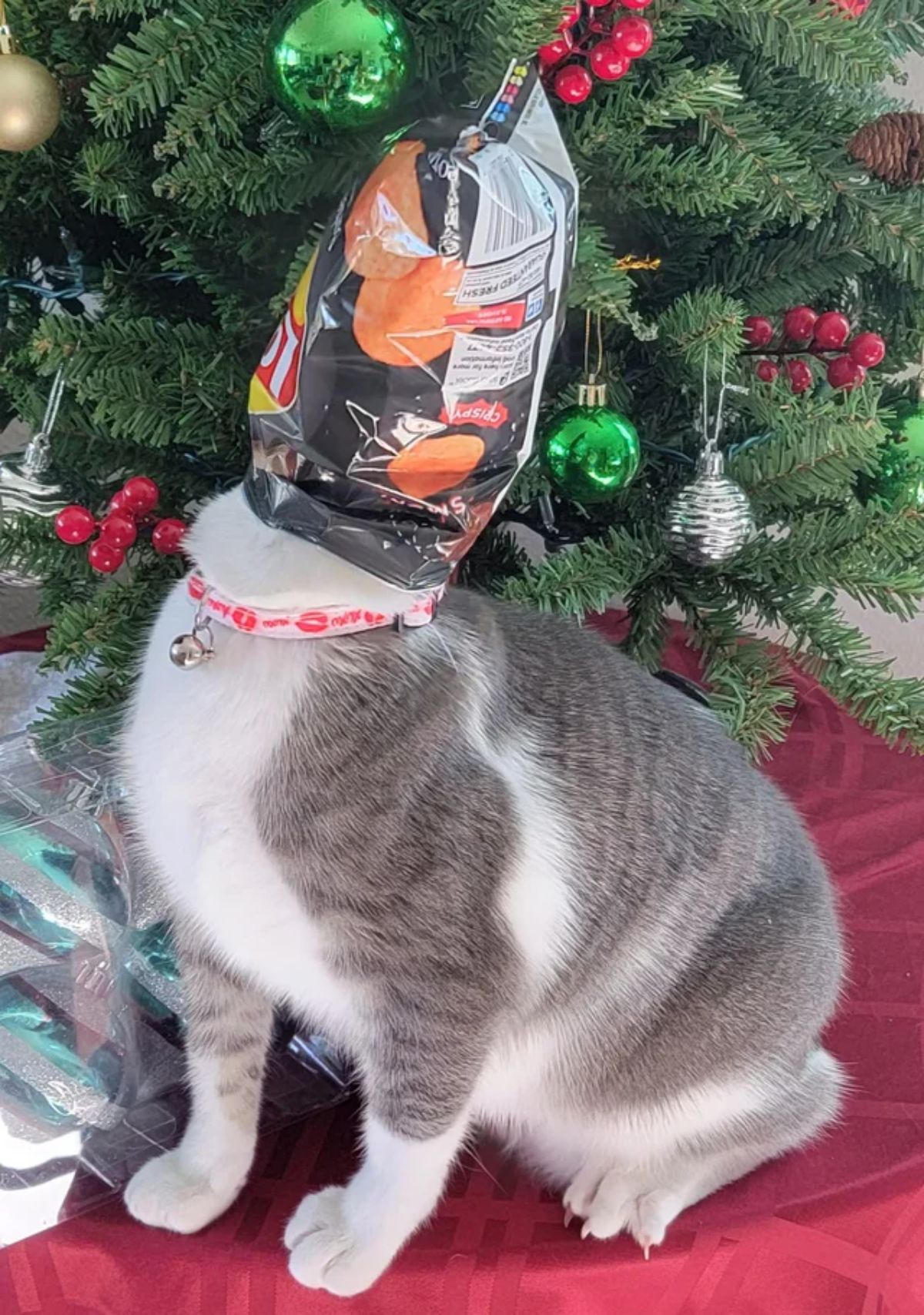 grey and white cat sitting by a decorated christmas tree with the head stuck in a pack pf lays potato chips