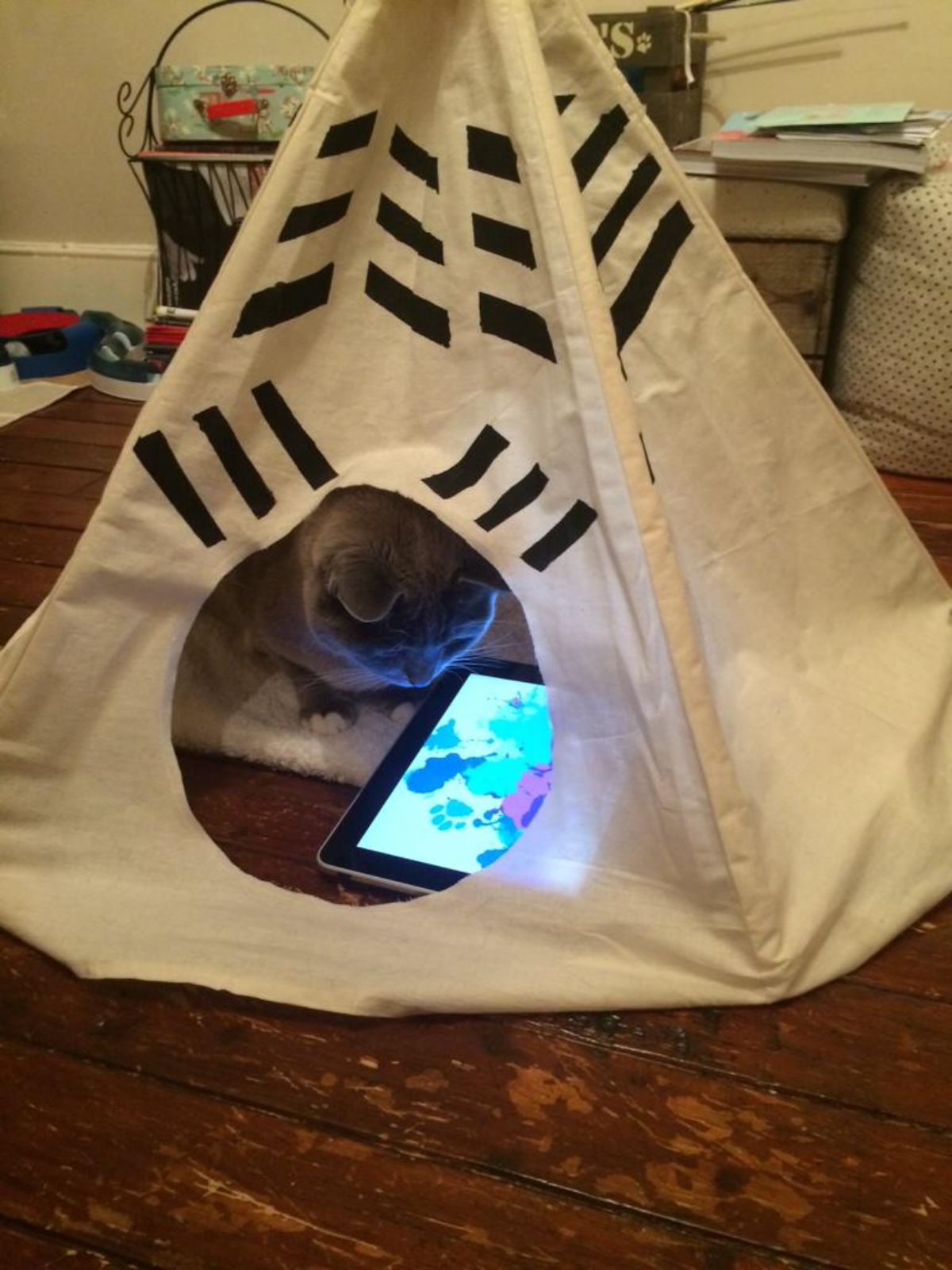 grey cat inside a white and black yurt watching something on an ipad
