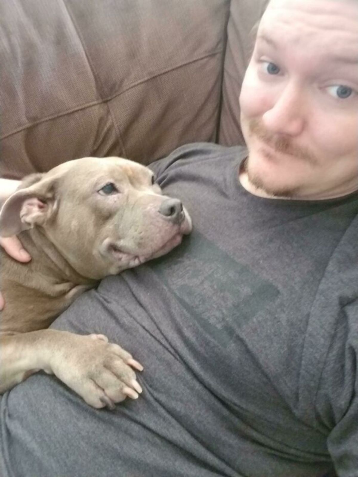 grey pitbull resting head and front paw on a man's chest looking lovingly at him