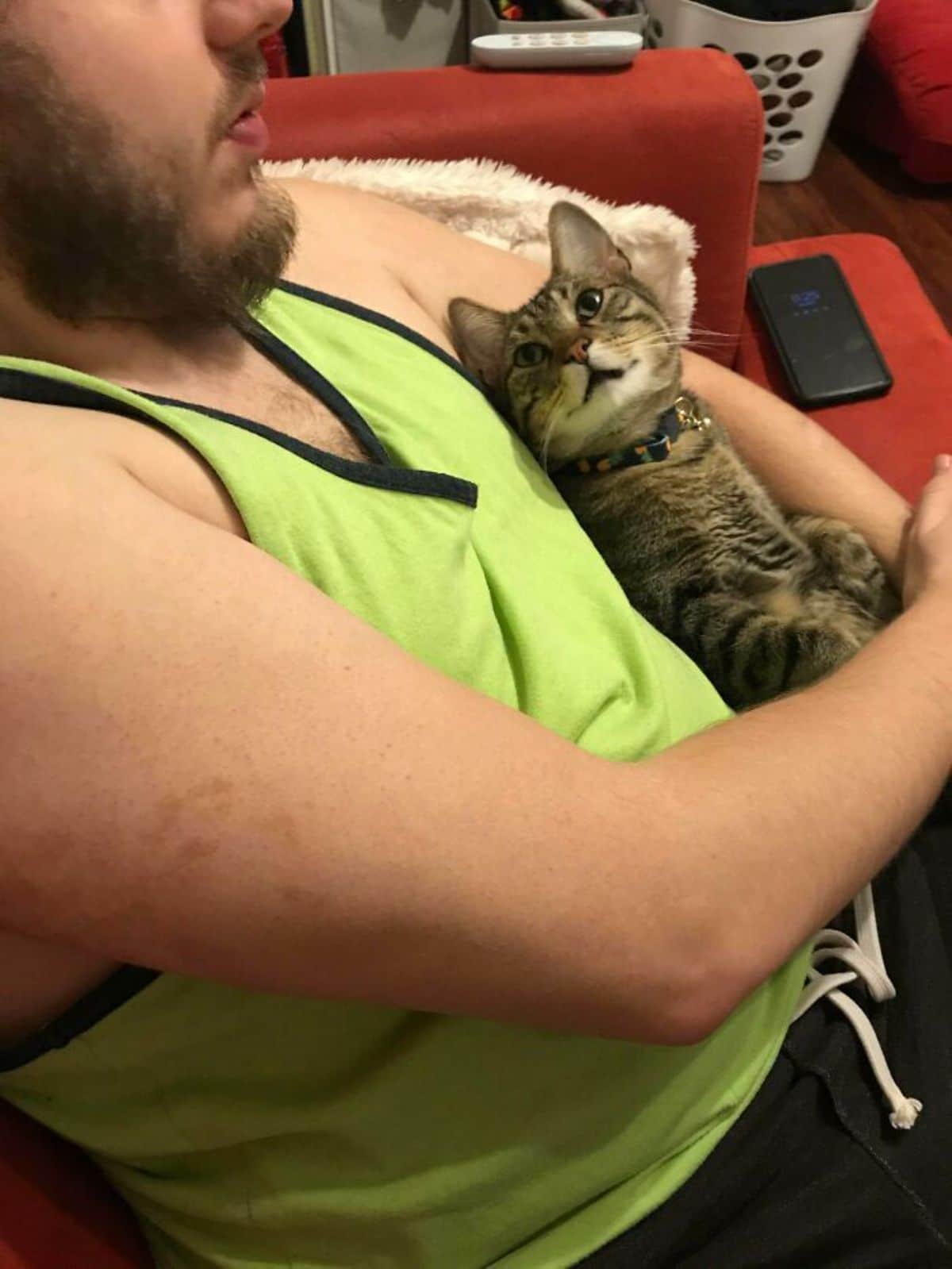 grey tabby cat being held in a man's arms and looking lovingly up at him