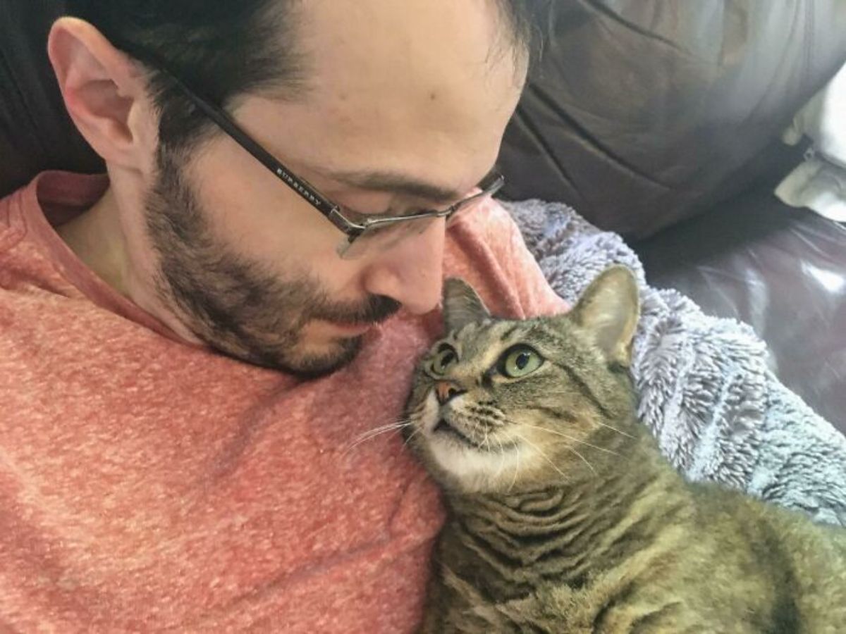 grey tabby cat looking lovingly up at a man holding him