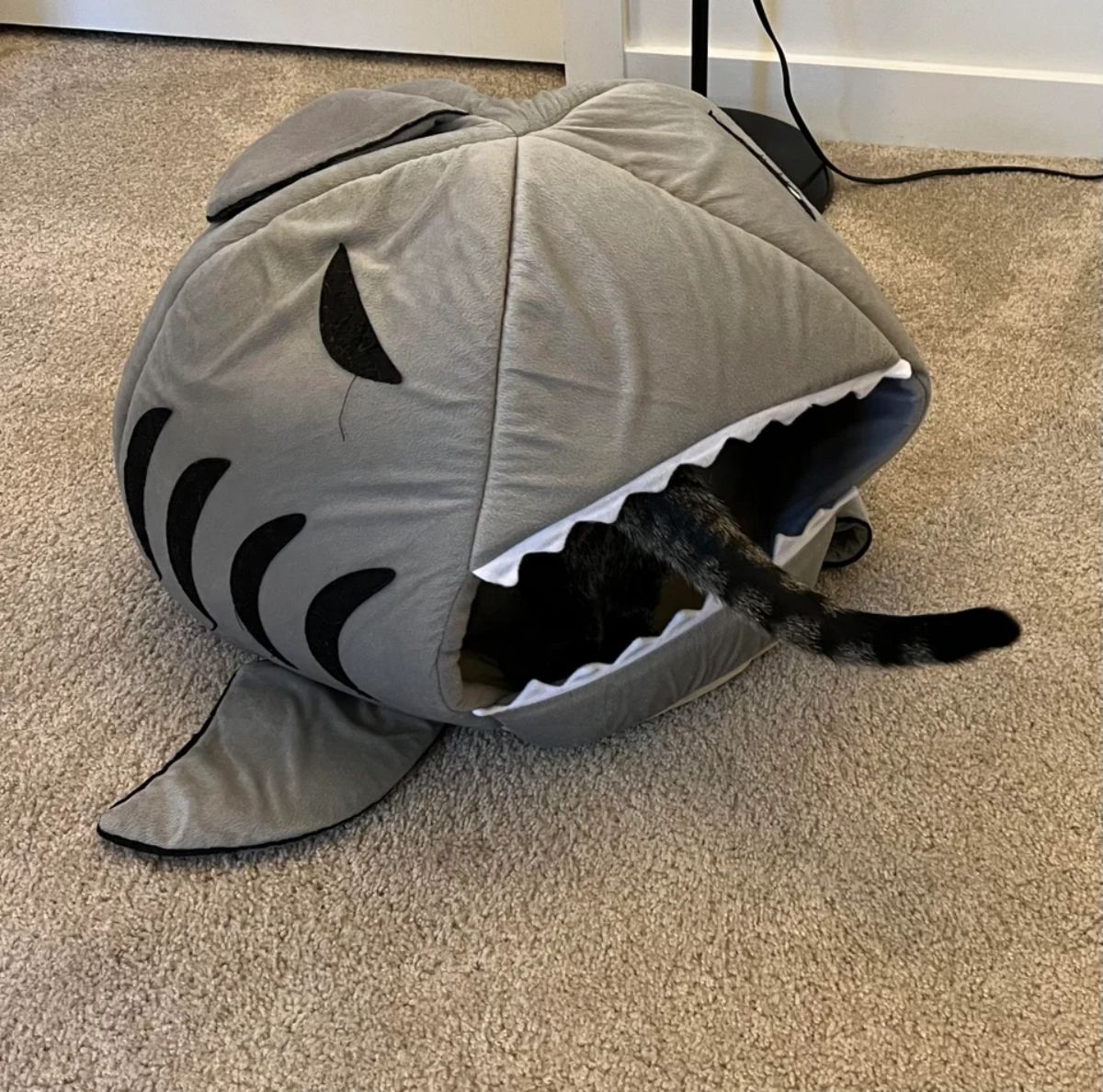 grey tabby cat's tail sticking out of a grey black and white shark cat house