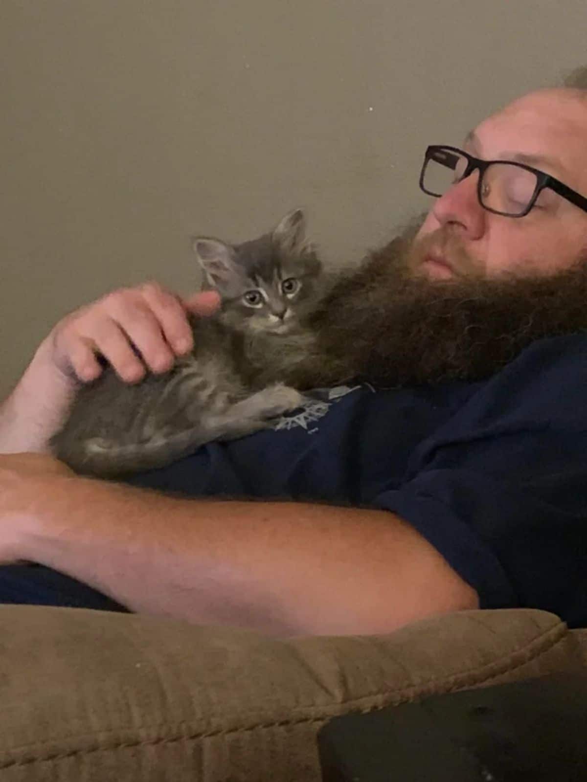 grey tabby kitten laying on a man's chest while he sleeps