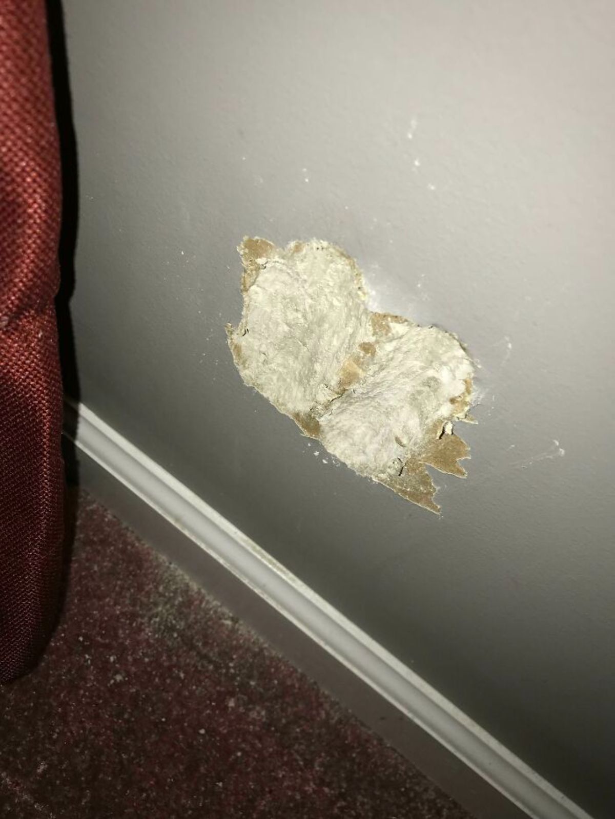 grey wall with huge chunks of it that's been chewed off by a dog