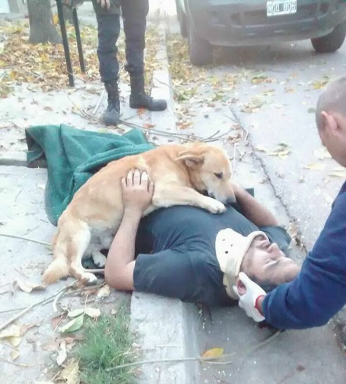 injured man laying on the road with a brown and white dog laying on him