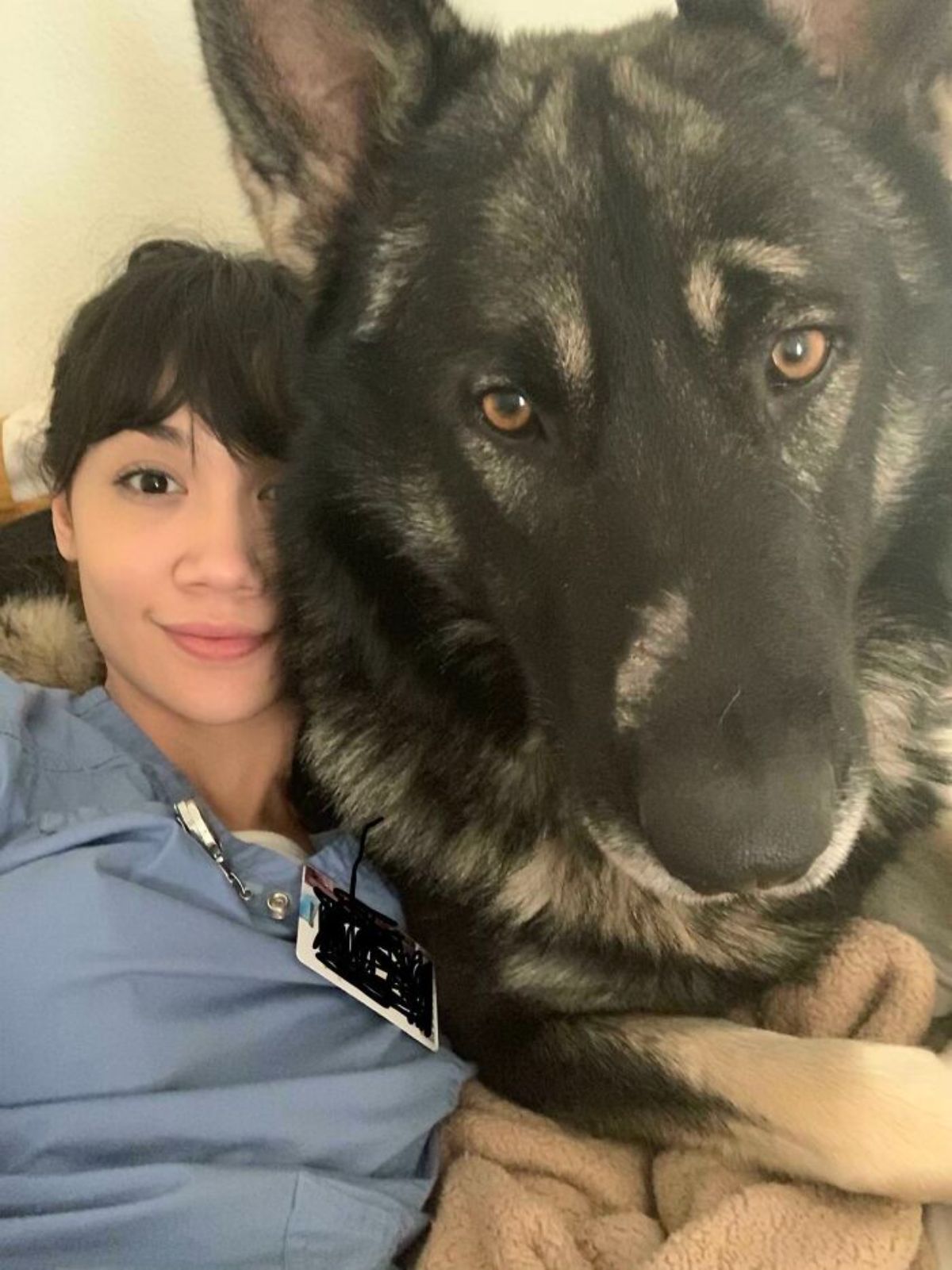 large black and brown dog cuddling with a woman
