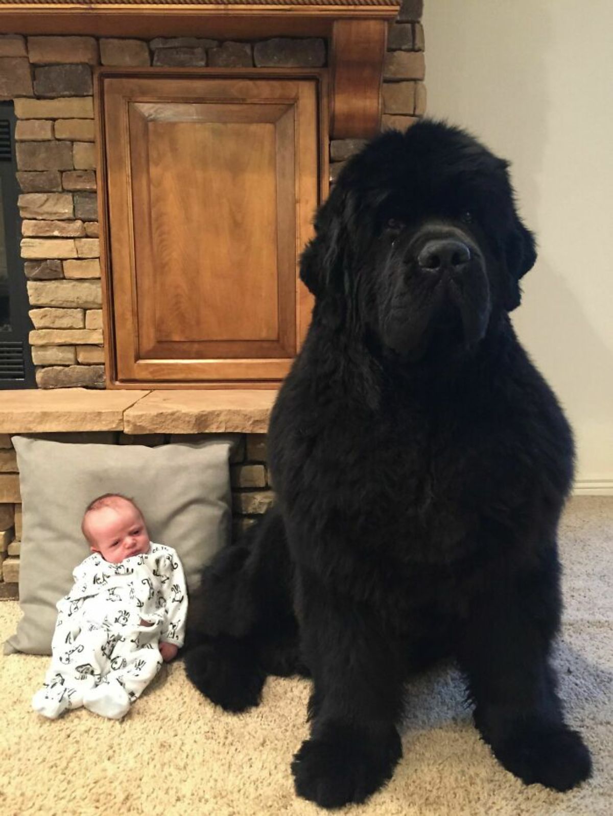 large black newfoundland sitting next to a baby sitting on the floor leaning against a cushion