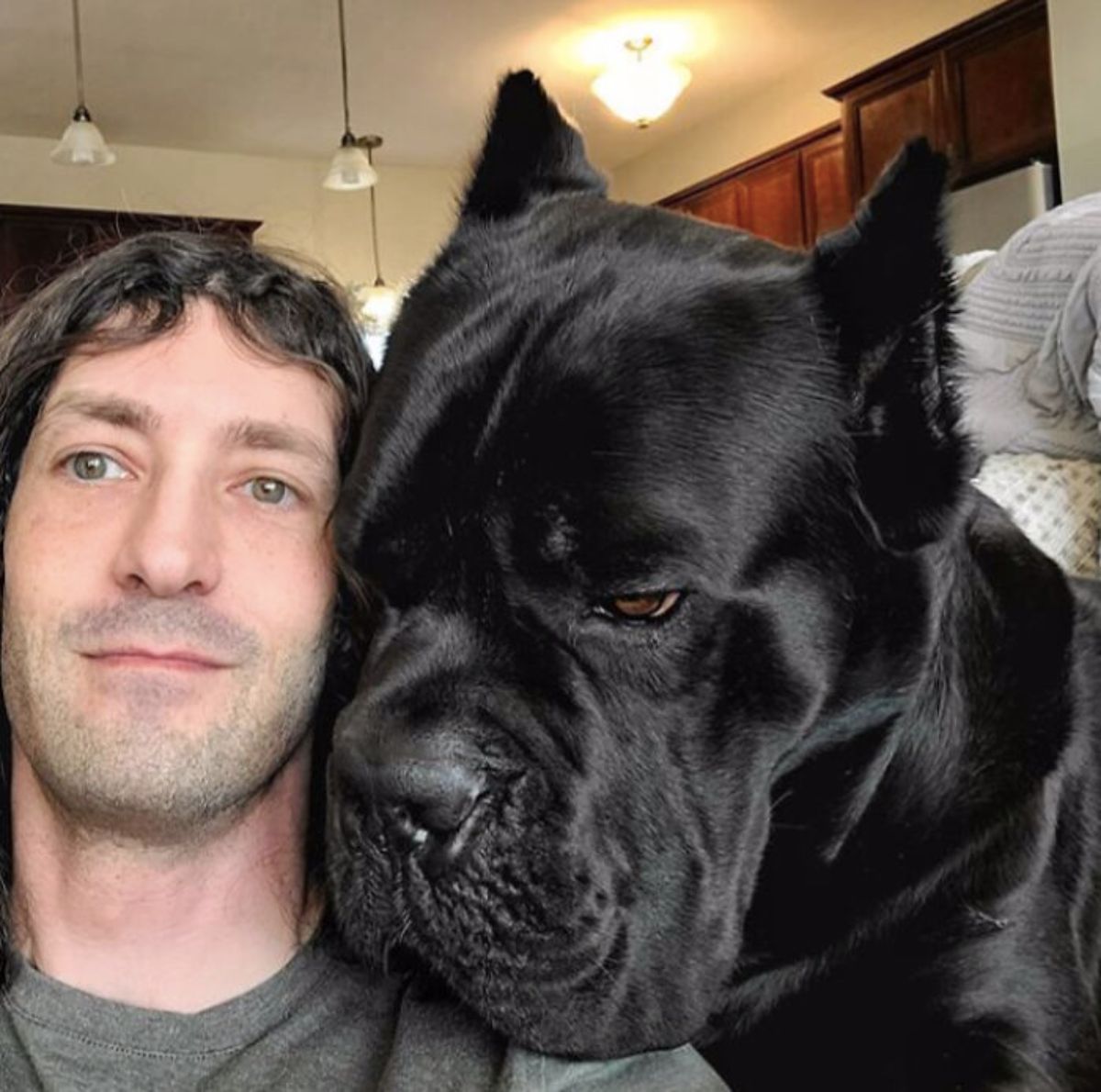 large dog with the chin on a man's shoulder