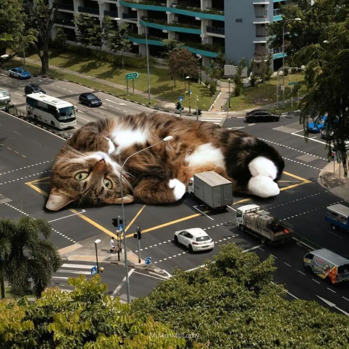large photoshopped brown black and white cat laying in the middle of a road