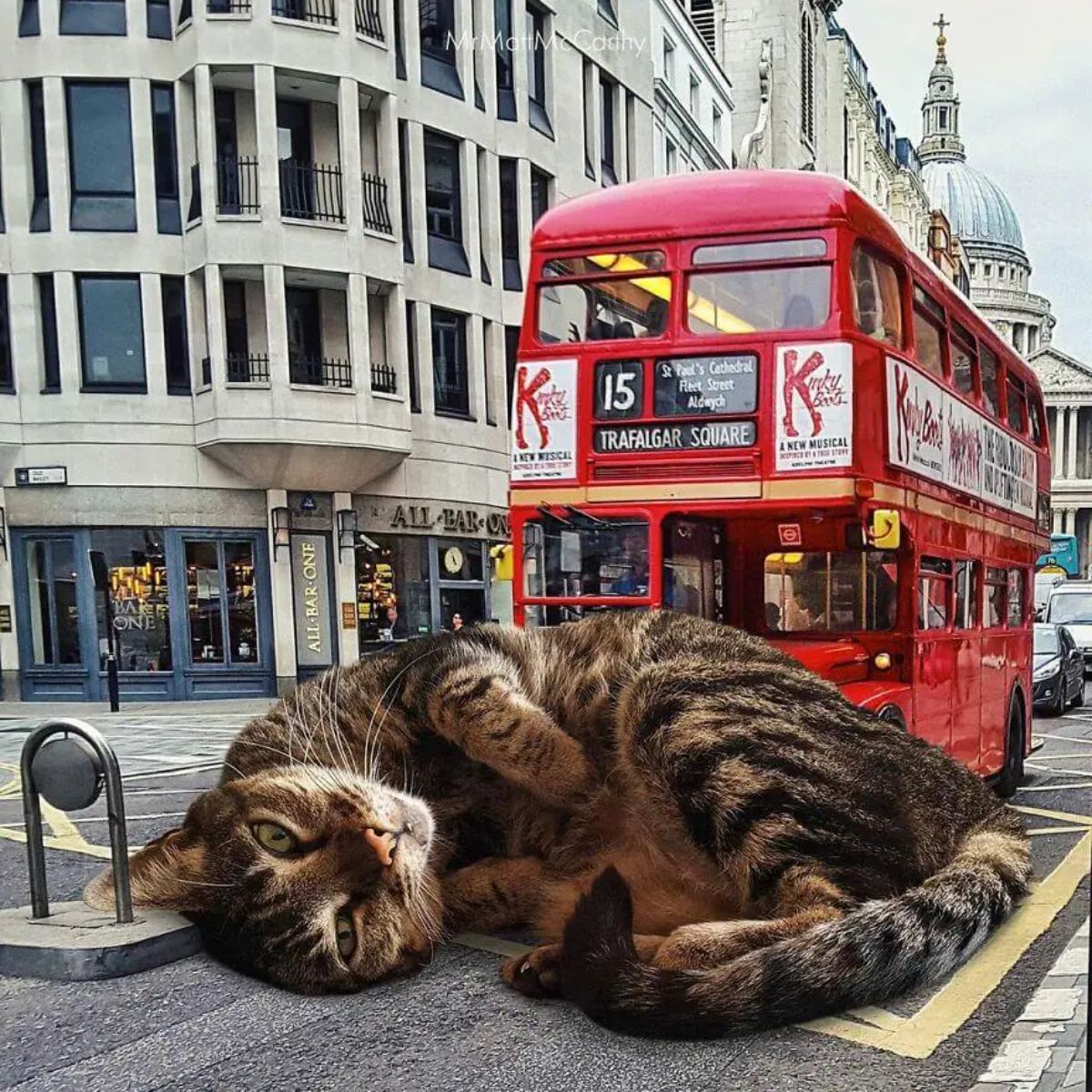 large photoshopped brown tabby cat laying sideways on the road in front a red double decker bus
