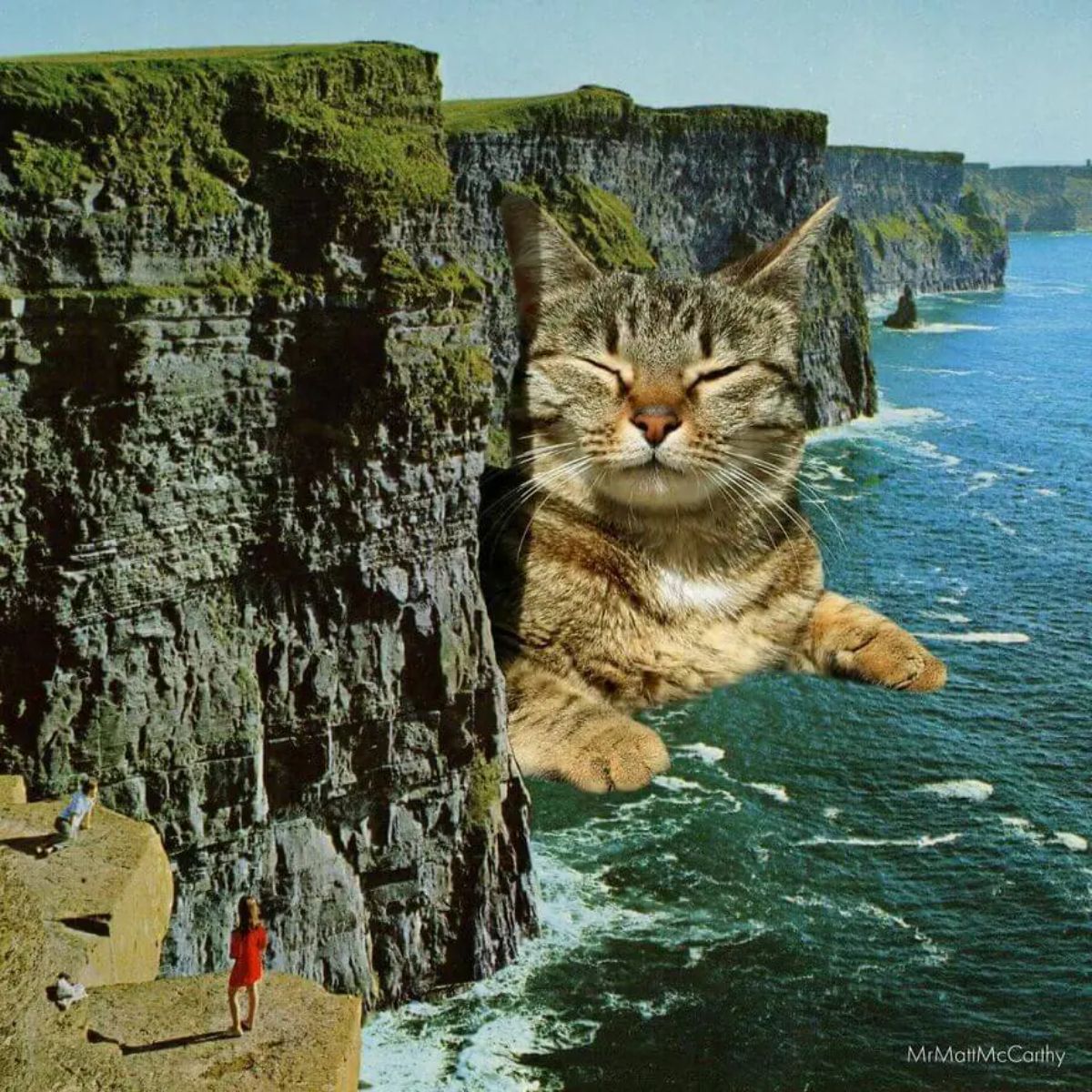 large photoshopped grey and brown tabby cat laying on the water of the ocean by cliffs