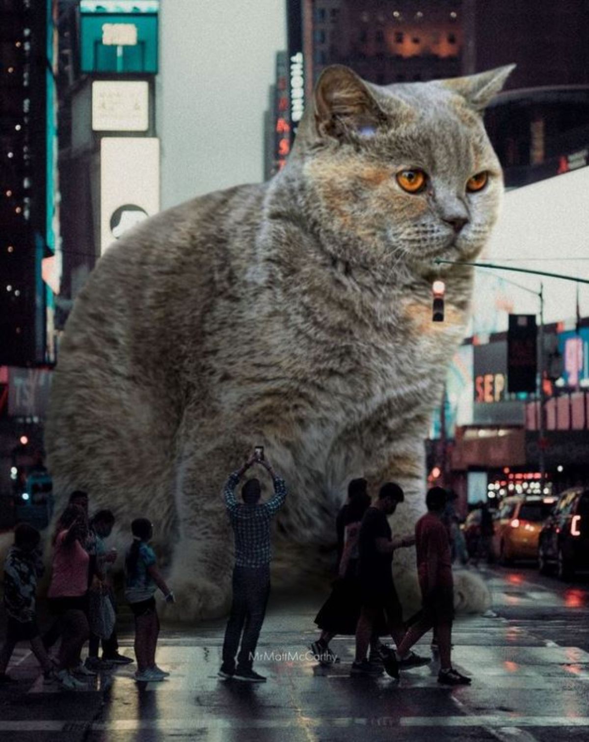 large photoshopped grey and orange cat standing on the road with people and vehicles around the cat