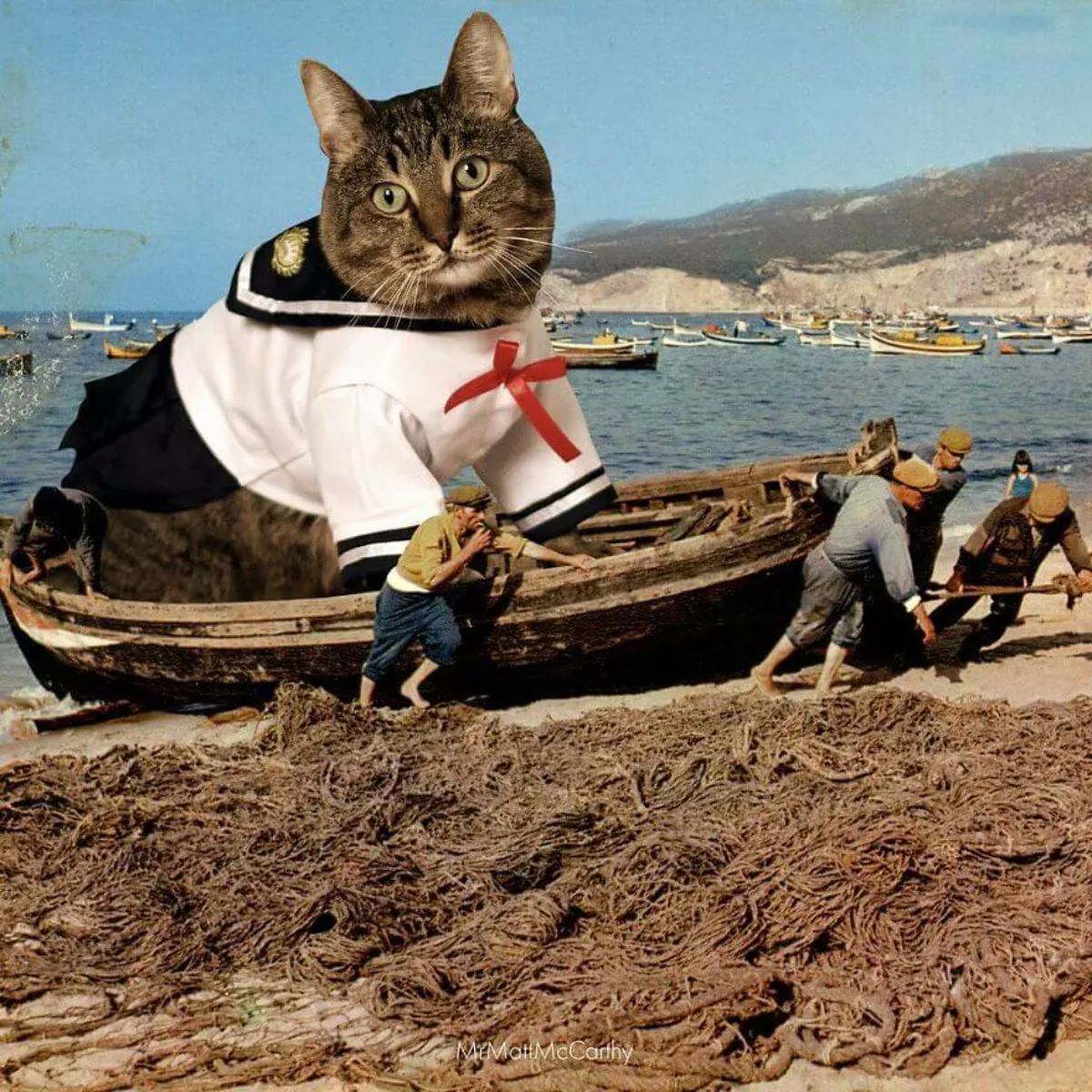 large photoshopped grey tabby cat in a blue and white sailor suit in a boat pulled by some men on a beach