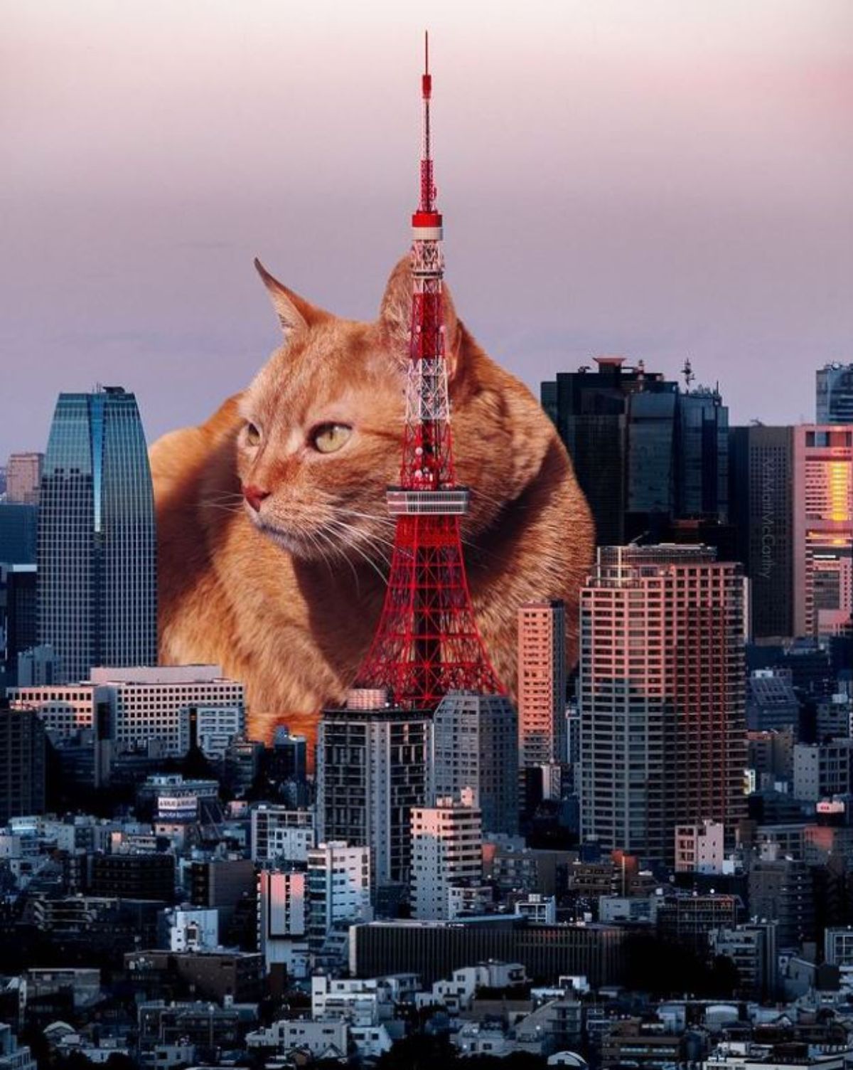 large photoshopped orange cat laying down in the middle of tall buildings