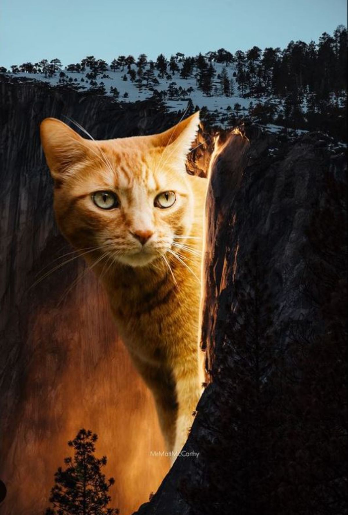 large photoshopped orange cat sitting by a cliff
