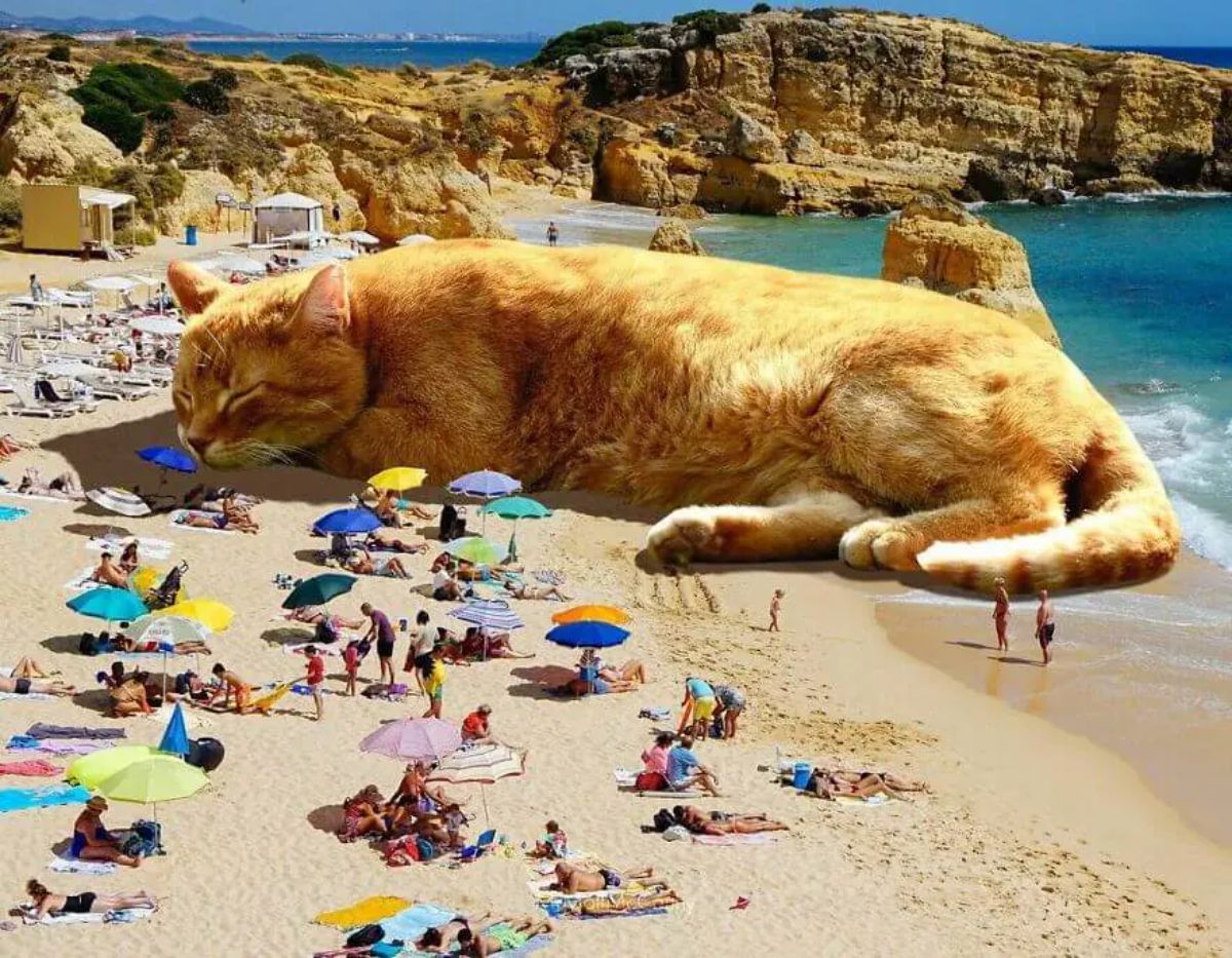 large photoshopped orange cat sleeping on a beach surrounded by people