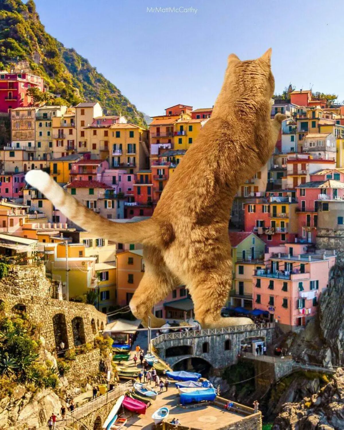 large photoshopped orange cat standing on hind legs amid a town of colourful houses