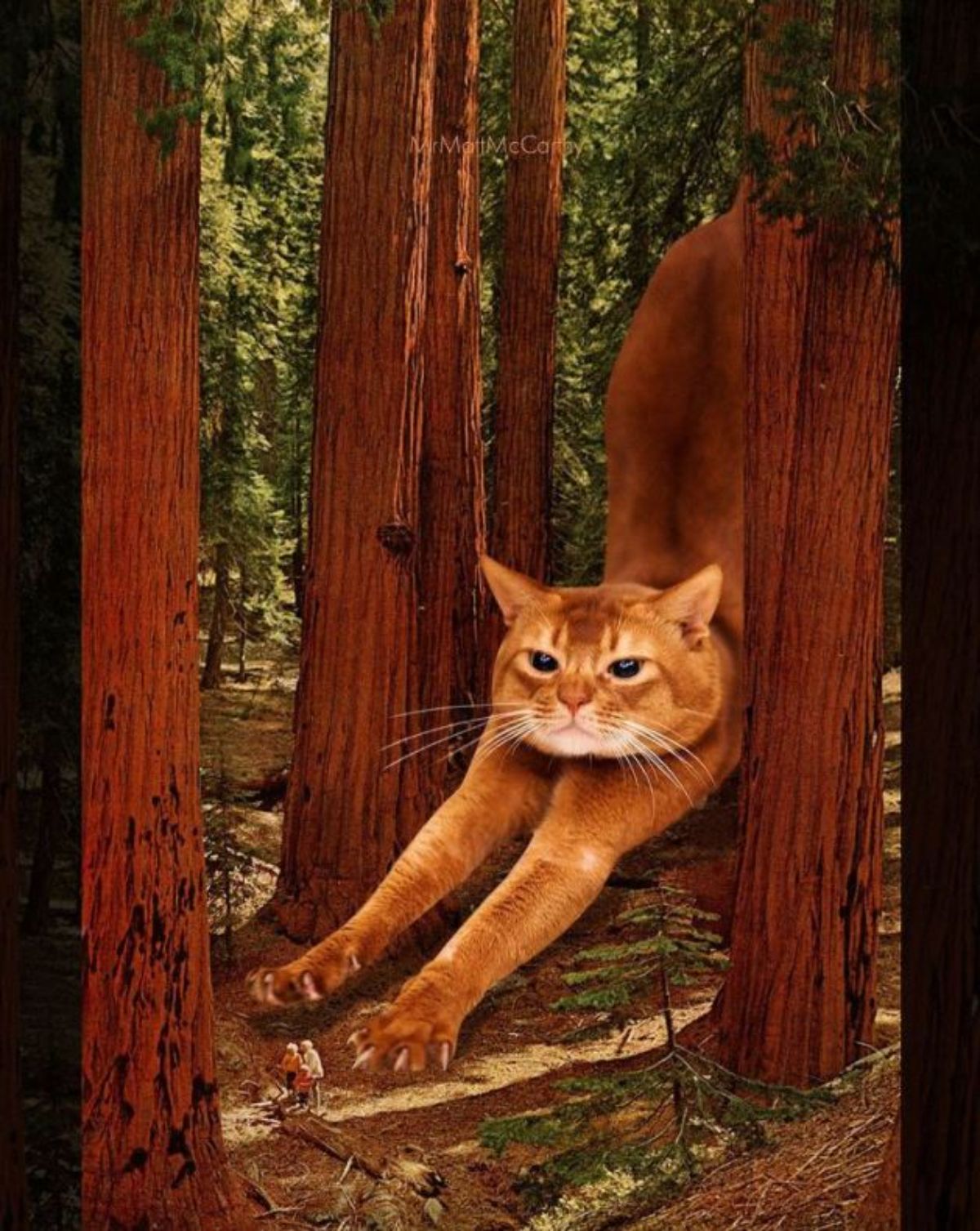 large photoshopped orange cat stretching in a forest surrounded by tall trees