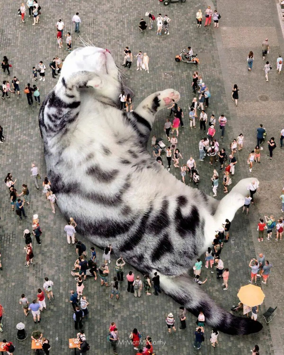 large photoshopped white and black cat laying belly up surrounded by people