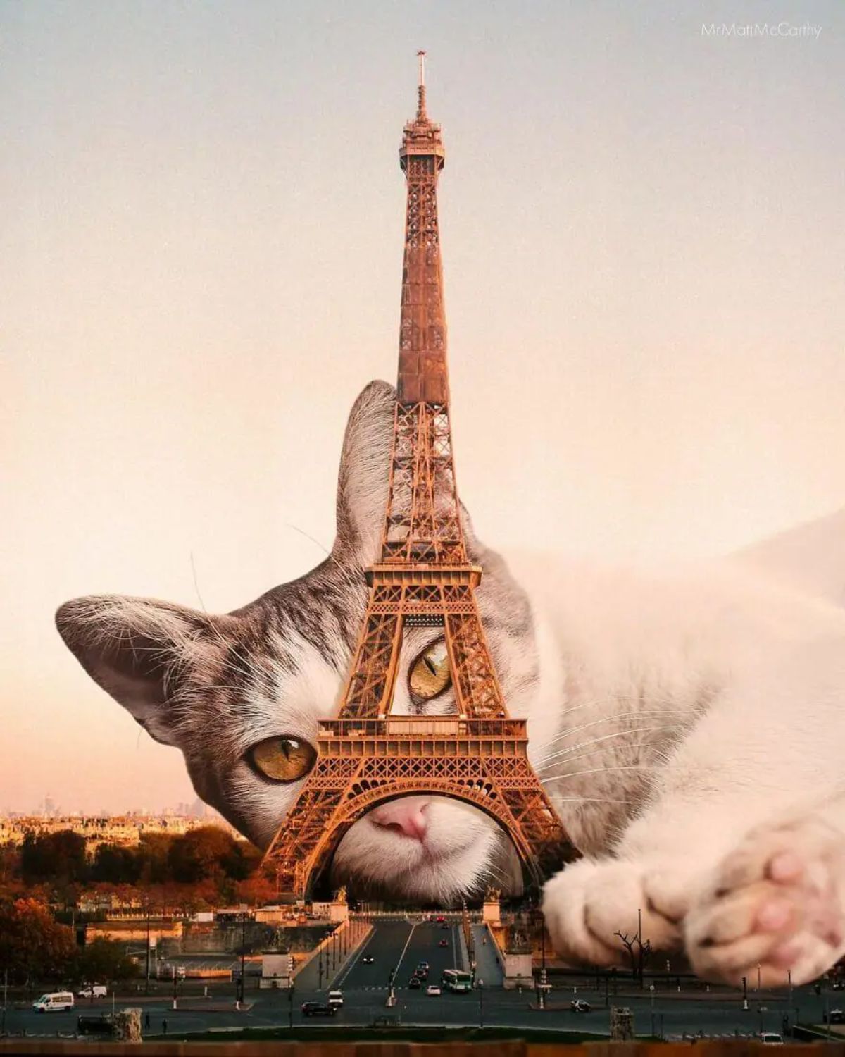large photoshopped white and grey cat laying by the Eiffel Tower and looking through the gaps