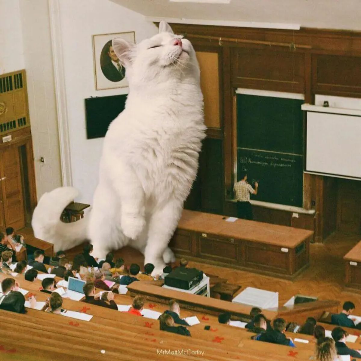 large photoshopped white cat standing in a university classroom