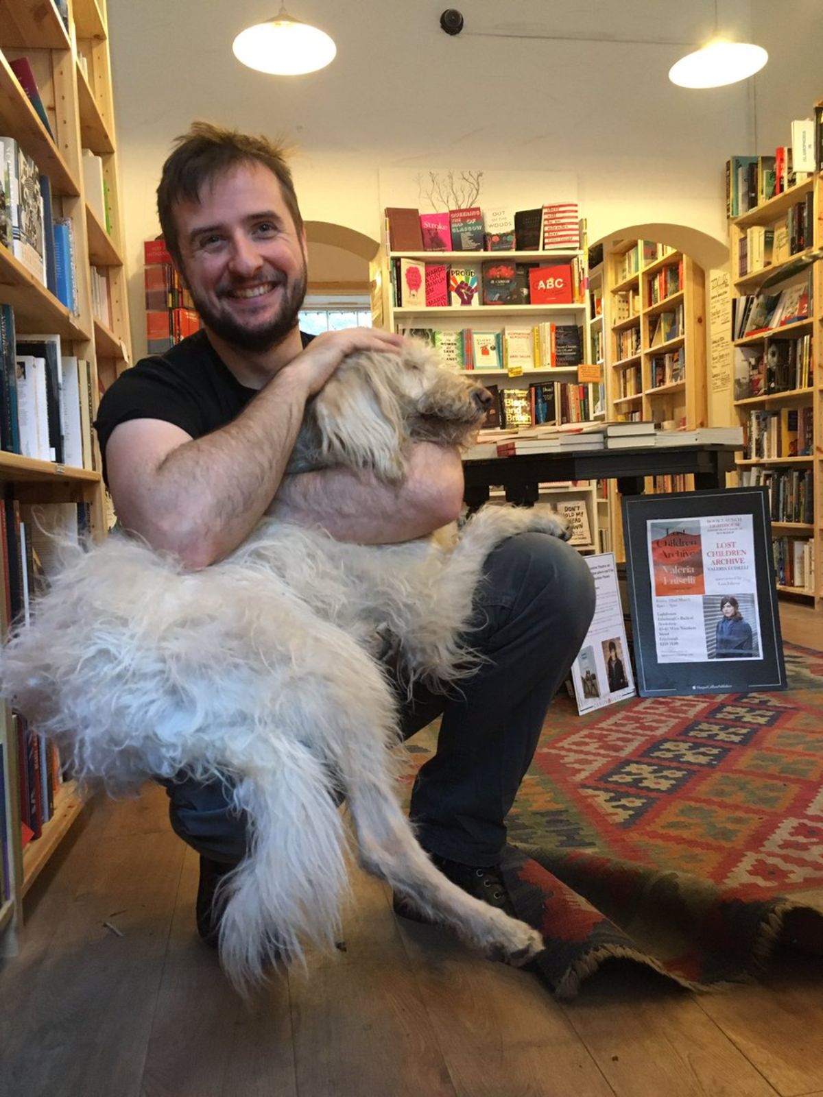 large white irish wolfhound laying on a man sitting down at a bookstore