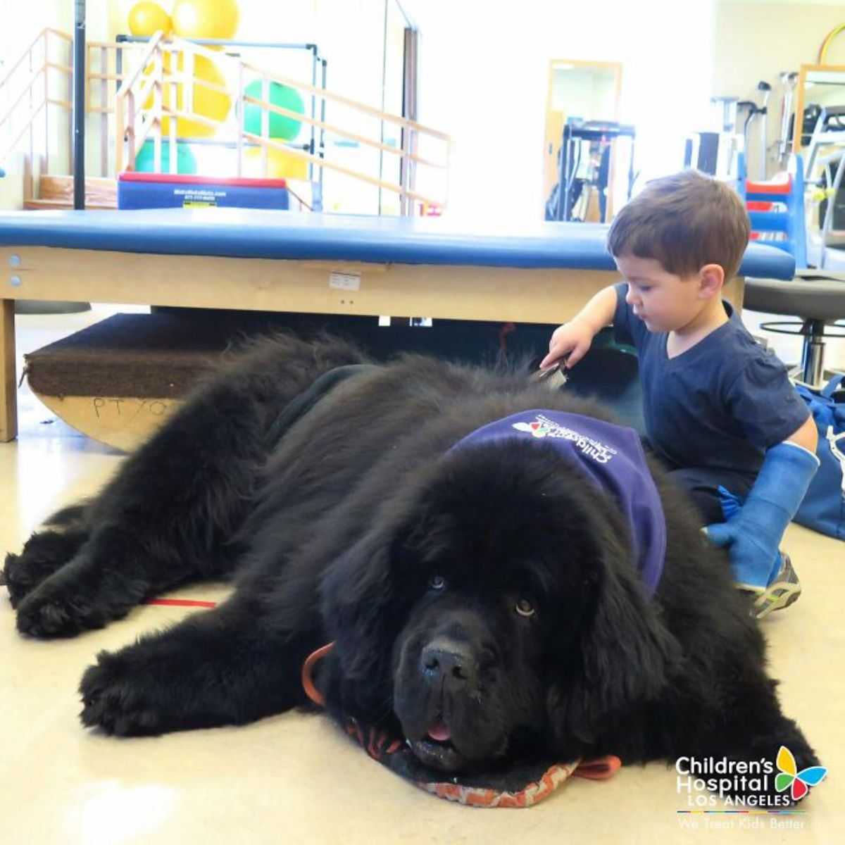 little boy sitting ext to large fluffy black newfoundland laying on the floor