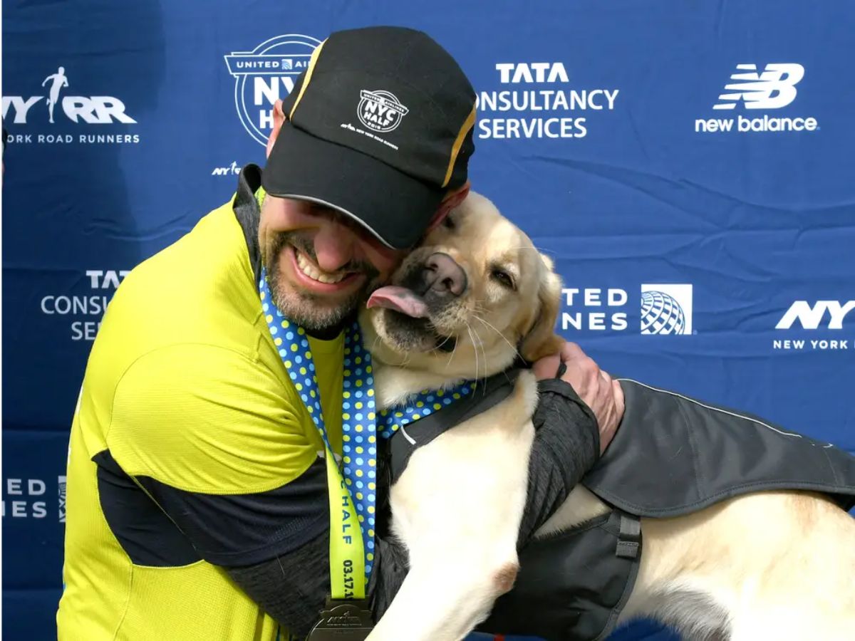 man in yellow shirt and black cap hugging a yellow labrador retriever in a black harness